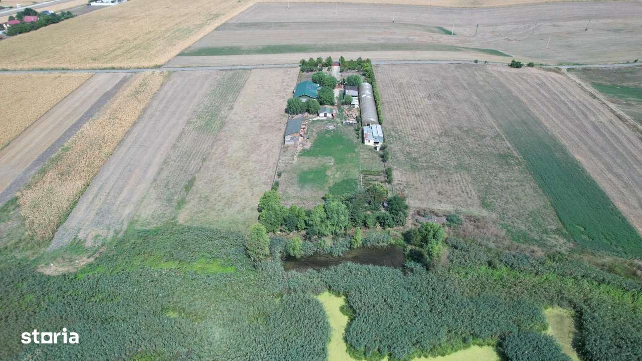 Ferma Frumusani,4062 mp teren-7