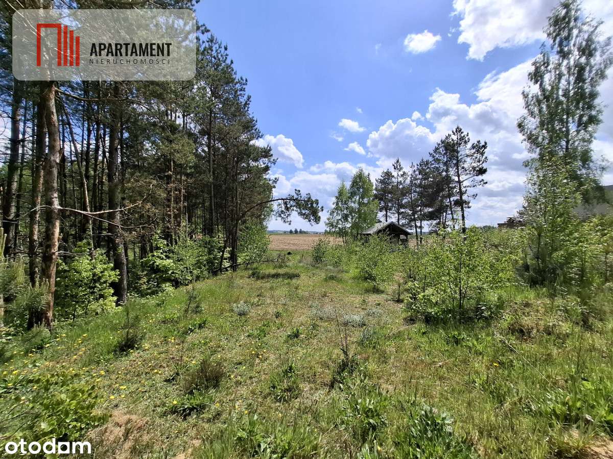 Piękna działka na Kaszubach z warunkami zabudowy - Pełny obrazek: 5/11