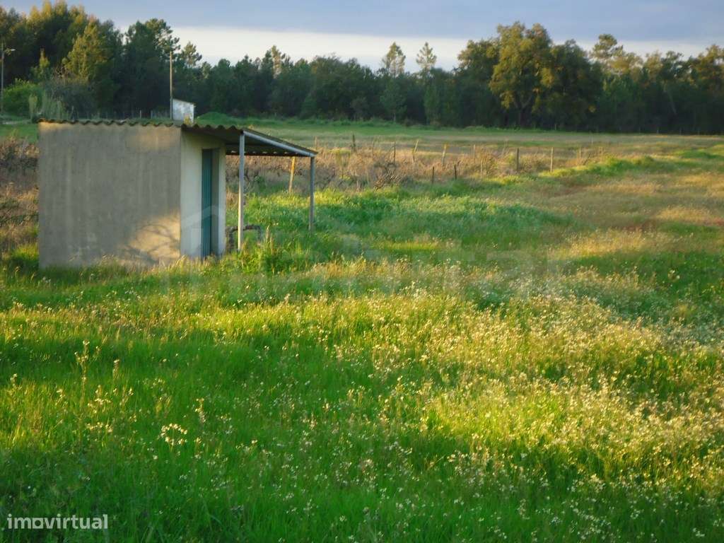 Terreno para Construção - Grande imagem: 3/7