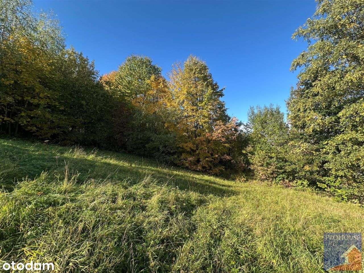 Działka, 1 244 m², Laskowa-9