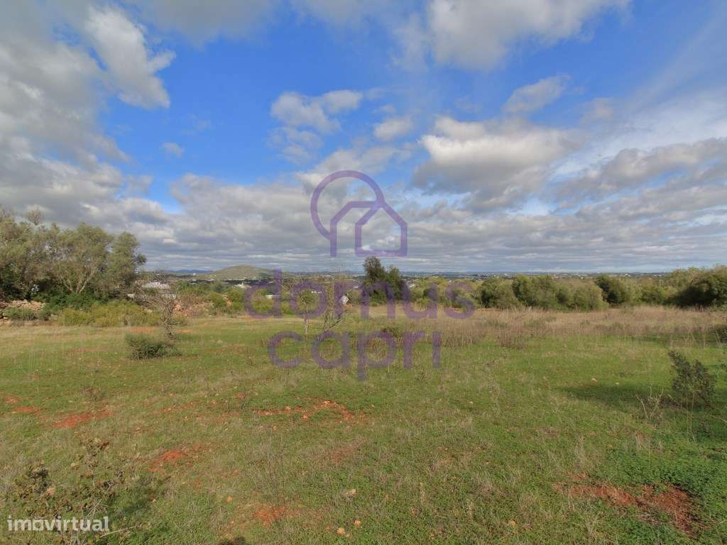 Terreno Rústico em Murtais - Moncarapacho - Olhão - Grande imagem: 3/9