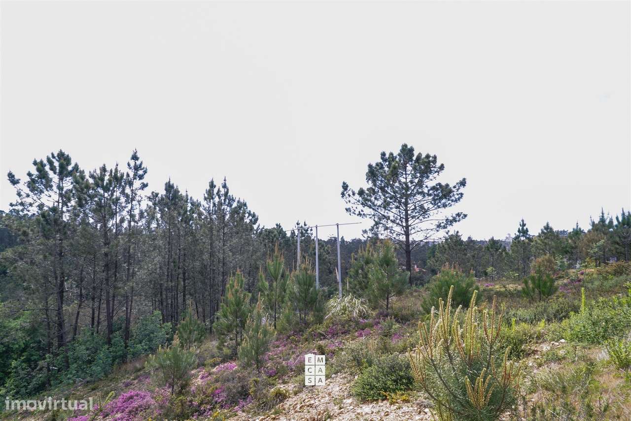 Terreno Urbano  Venda em Nogueira do Cravo e Pindelo,Oliveira de Azemé-10