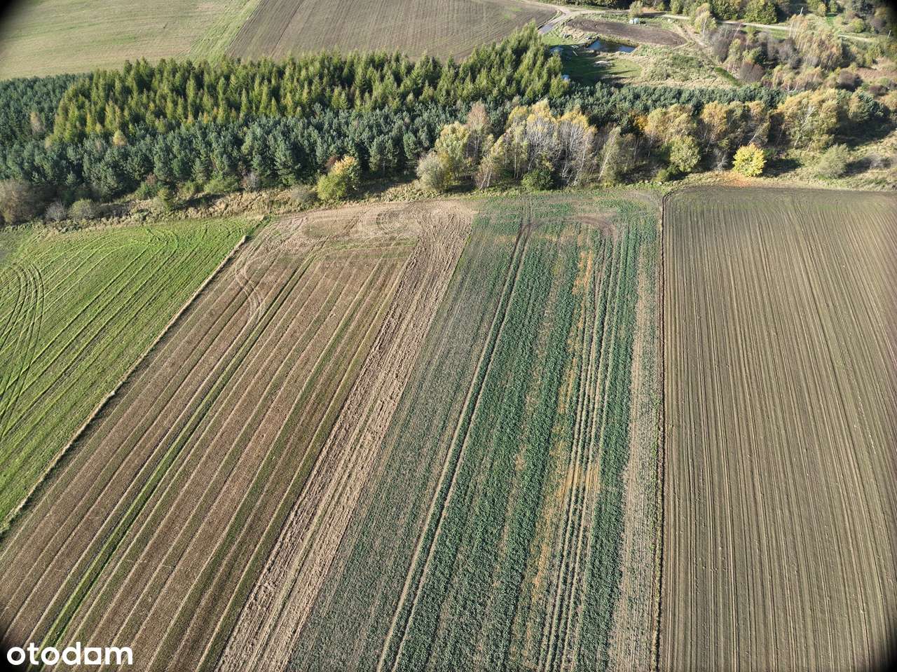 Działki budowlane Tawęcino - Pełny obrazek: 5/7