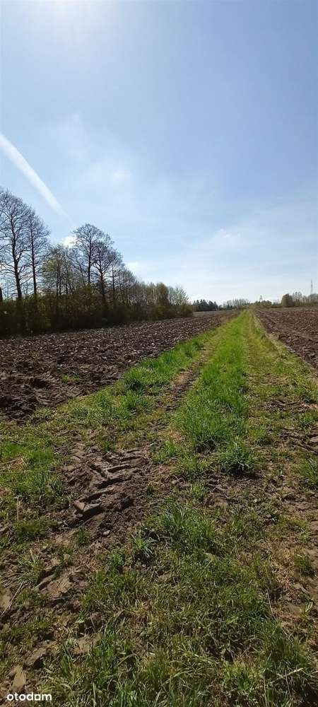 Działka Budowlana w Aleksandrowie Łódzkim - Pełny obrazek: 4/4