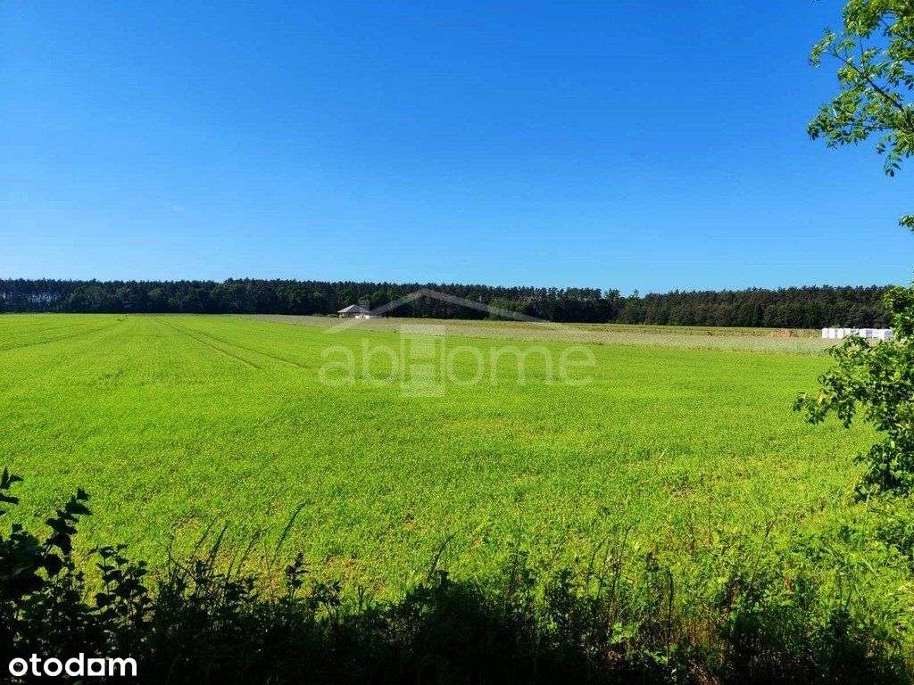 Kobylanka: działki z planem zagospodar. od 983 m2 - Pełny obrazek: 4/5