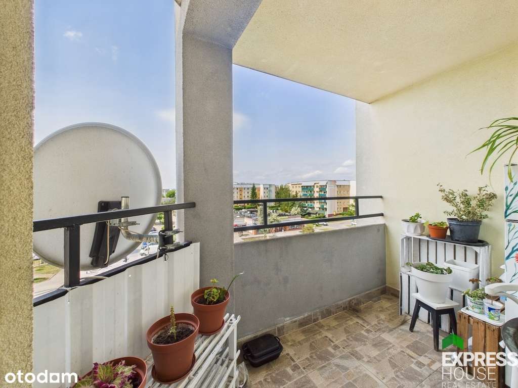 Cztery oddzielne pokoje - cegła - Zielone Wzgórza - Pełny obrazek: 5/16