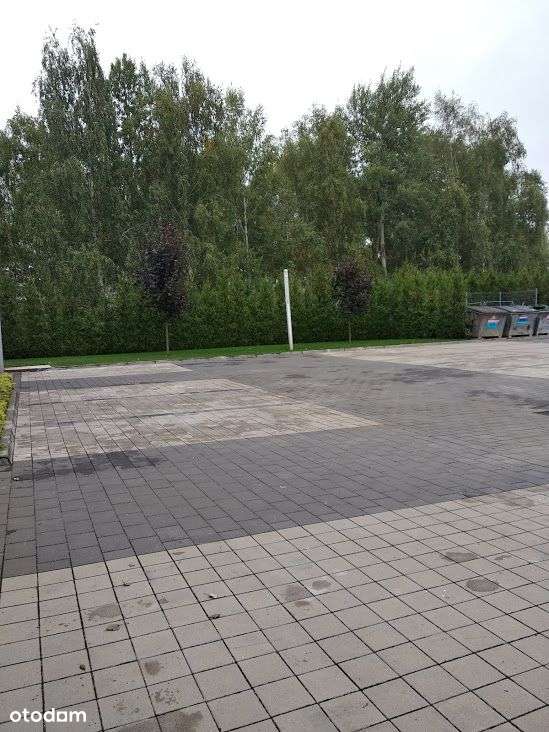 Magazyn w świetnej lokalizacji - Pełny obrazek: 5/7