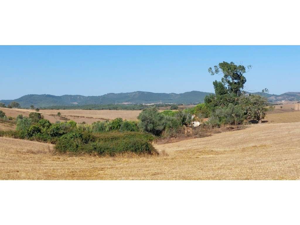 HERDADE (29 ha) - Grande imagem: 5/19