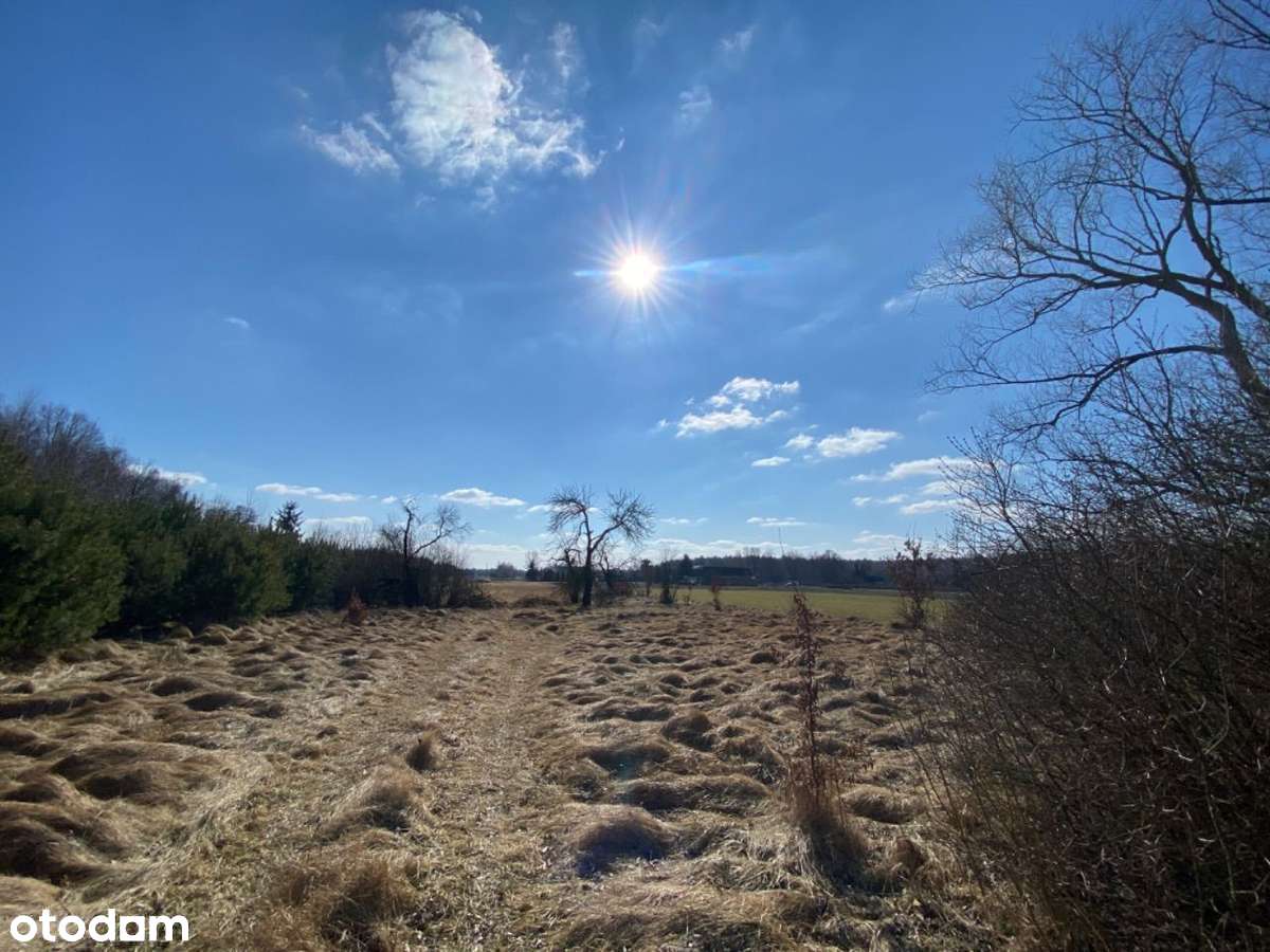Działka budowlana na sprzedaż 1 Hektar. Siedlisko - Pełny obrazek: 5/11