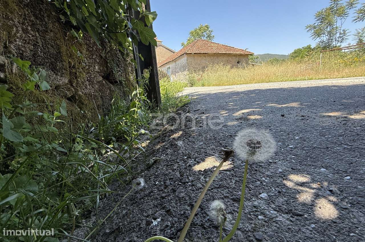Quinta com lagar e moagem| Teixoso, Covilhã-22