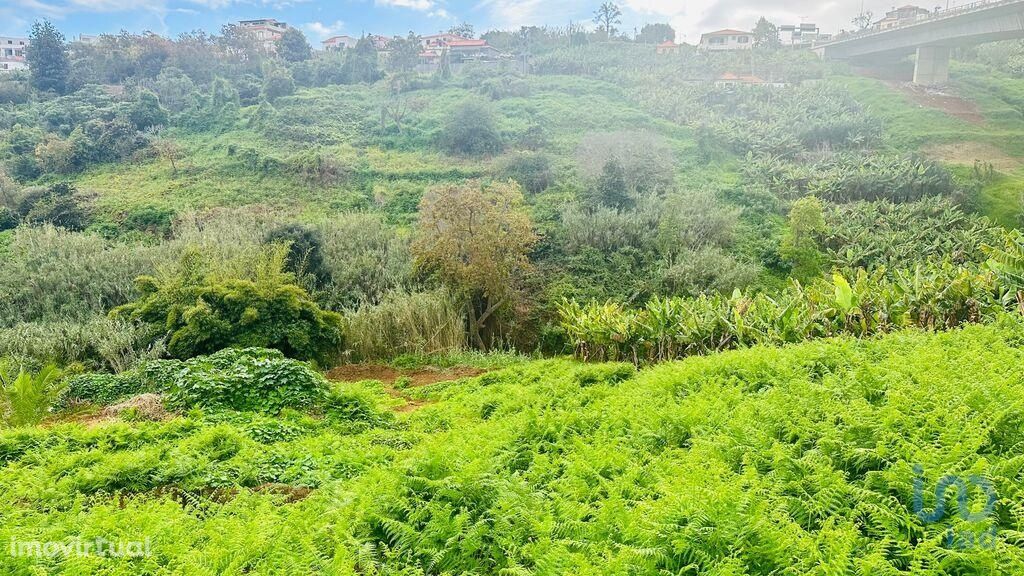 Terreno em Madeira de 1778,00 m2