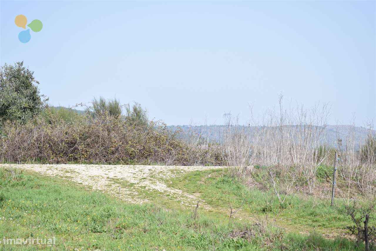 Terreno - Fundão - Grande imagem: 4/10