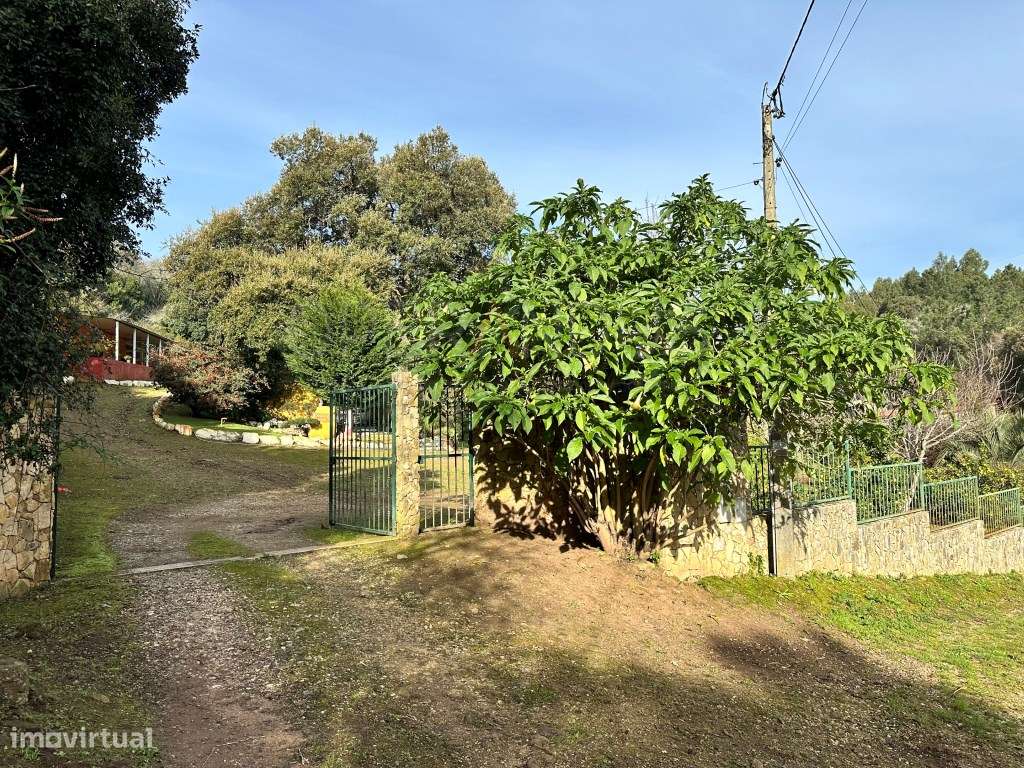 Quinta - Quintinha - Moradia-14