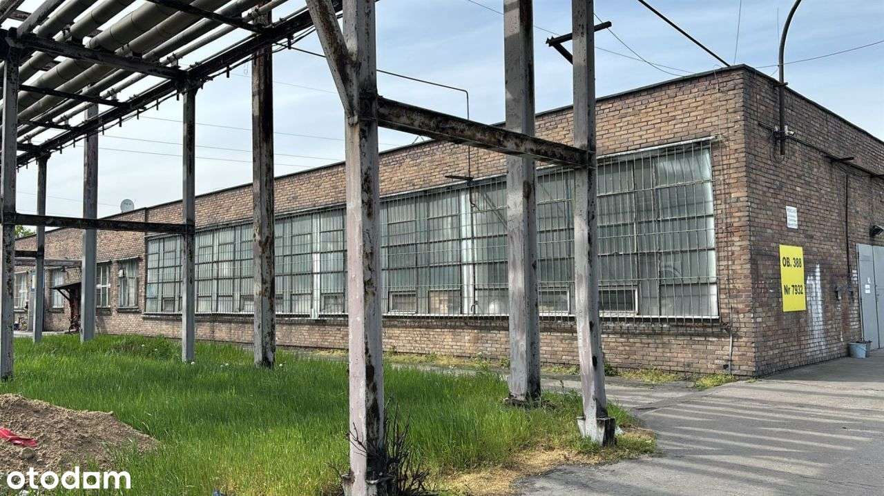 Kompleks hal i budynków na terenie Grupy Azoty - Pełny obrazek: 5/5