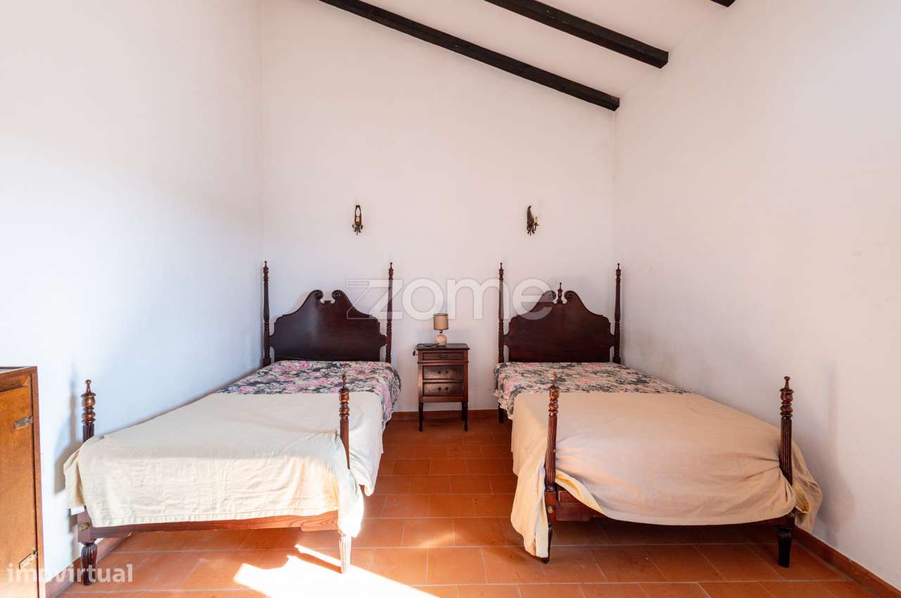 Monte Alentejano em Brinches (Serpa)-59