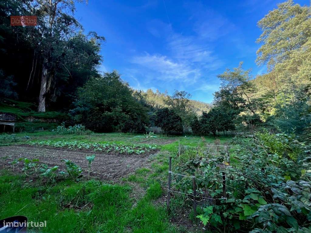 Lagar em Coimbra - Torres do Mondego (Coimbra) Portugal-16