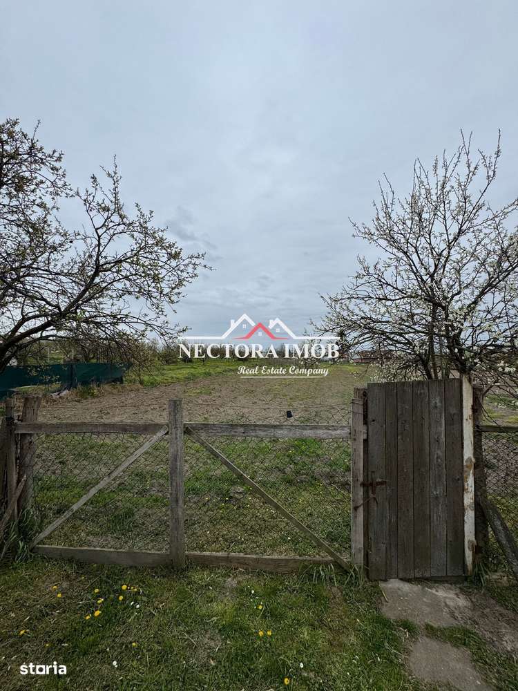 Casa 2 camere 70 mp, in CETARIU cu 2117 mp teren, la 15 km de Oradea - Imagine principală: 3/10