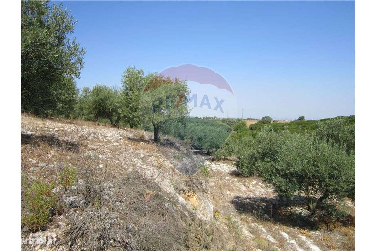 Terreno  para venda - Grande imagem: 3/49