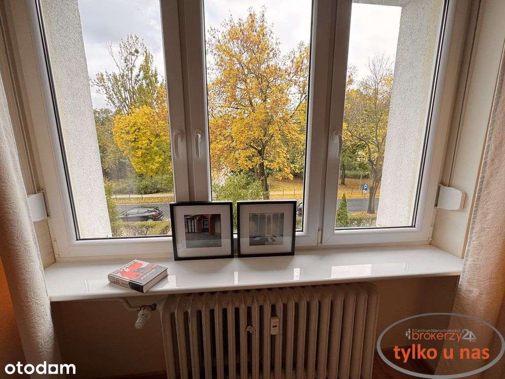 3 niezależne pokoje na Ogrodach - Piwnica/Parking-4