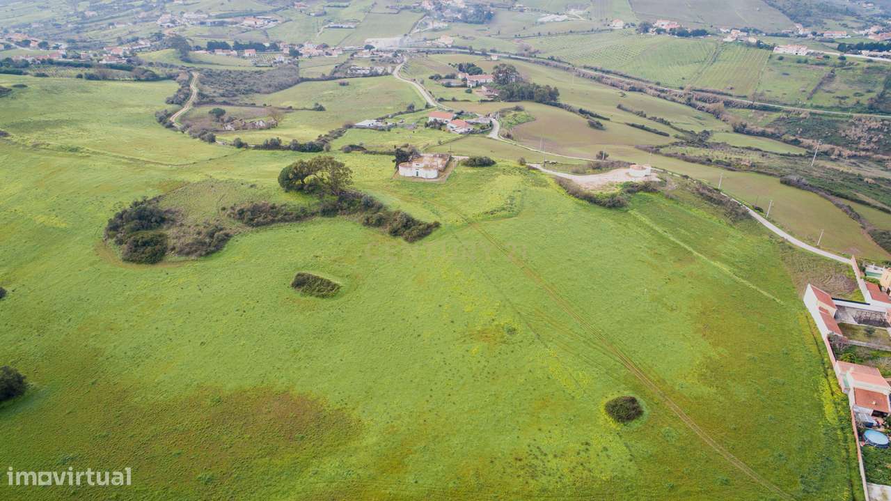 Quinta - 25 hectares-6