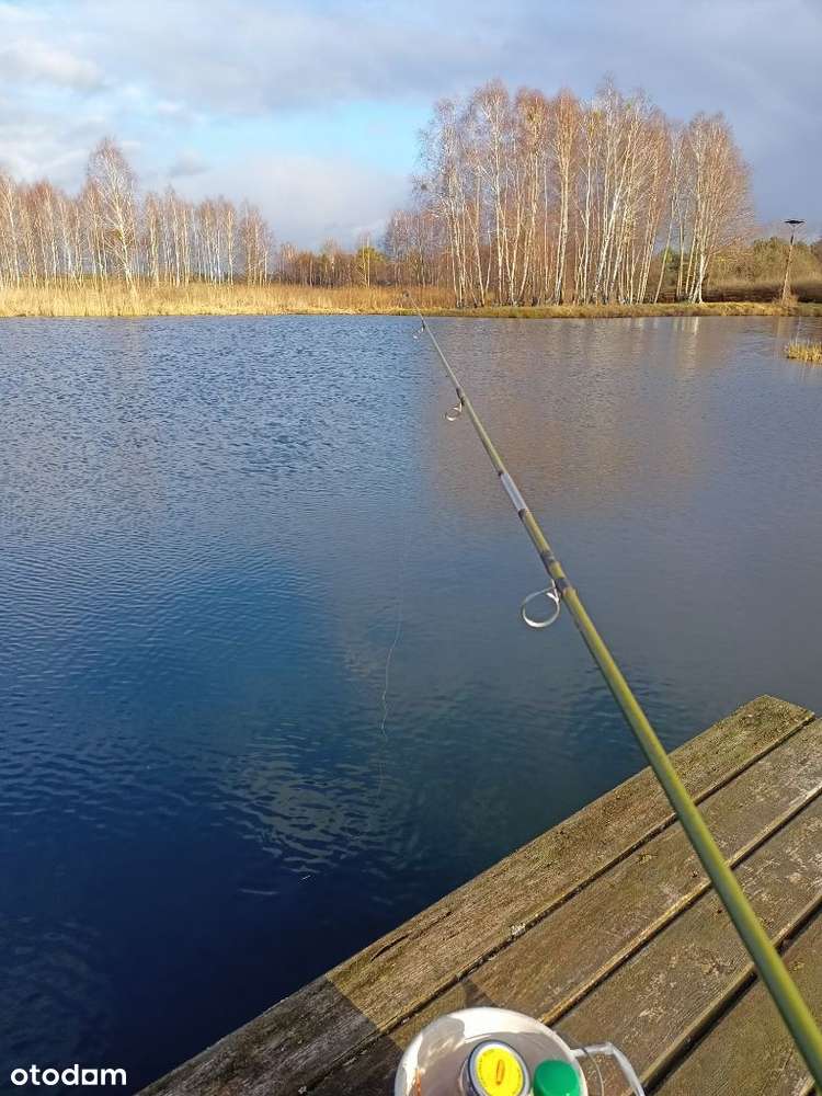 Działka nad jeziorem z linią brzegową, pomostem - Pełny obrazek: 5/13