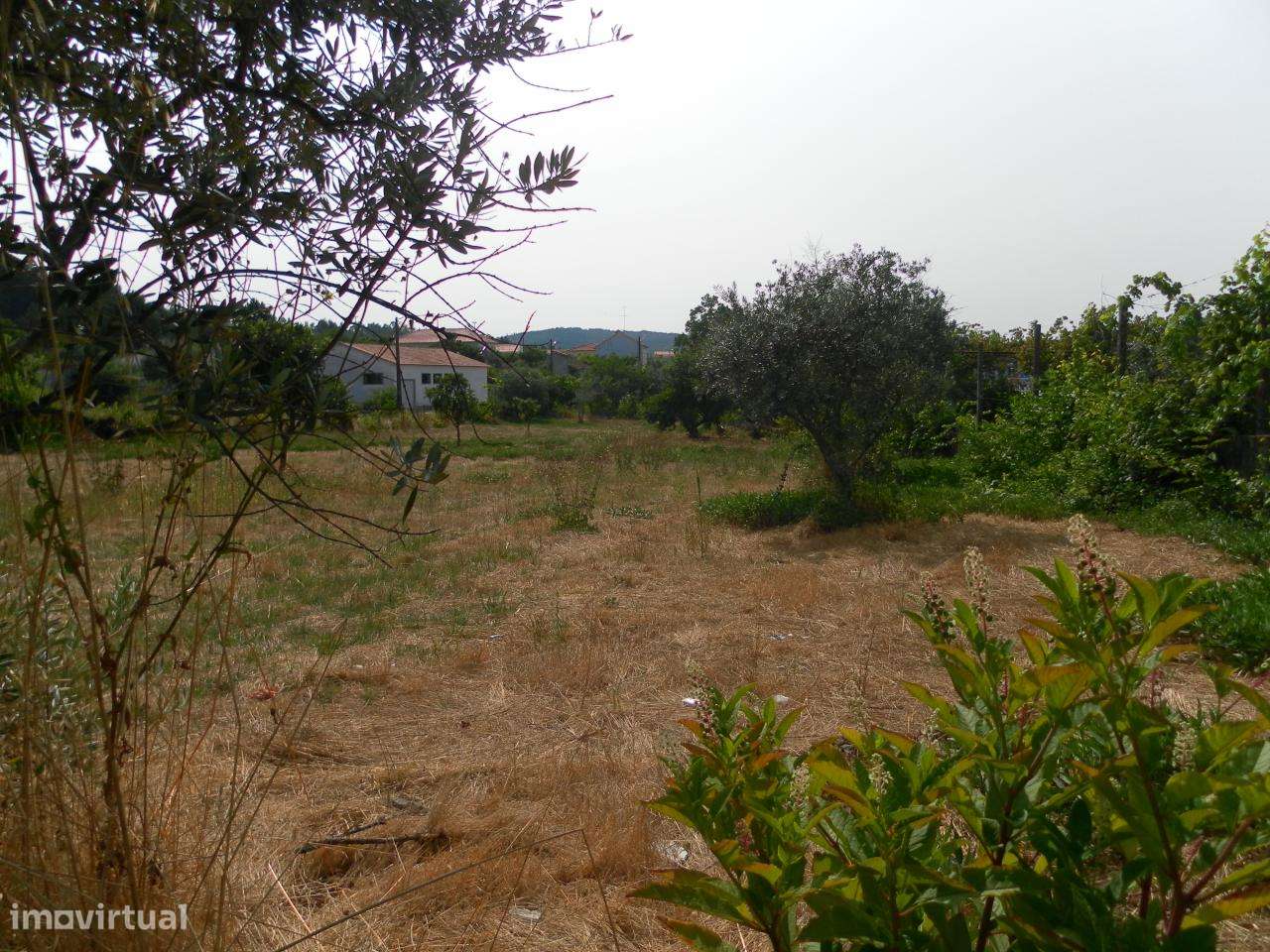 Lote de Terreno - Grande imagem: 5/8