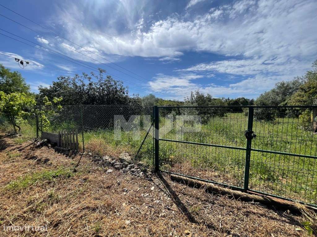 Quinta com 3 quartos e forno em Santa Bárbara de Nexe, Faro.-38