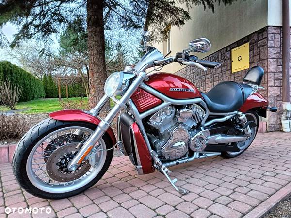 Harley-Davidson V-Rod Muscle - 9