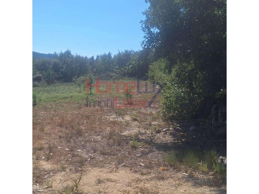 Terreno na Região de Gavião - Grande imagem: 5/9