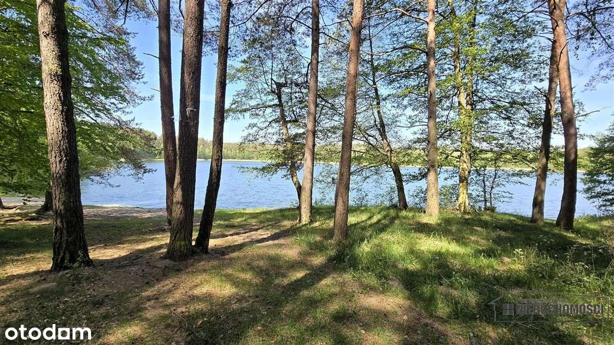 Okole - Grunt siedliskowy w otoczeniu lasu ok. 100-17