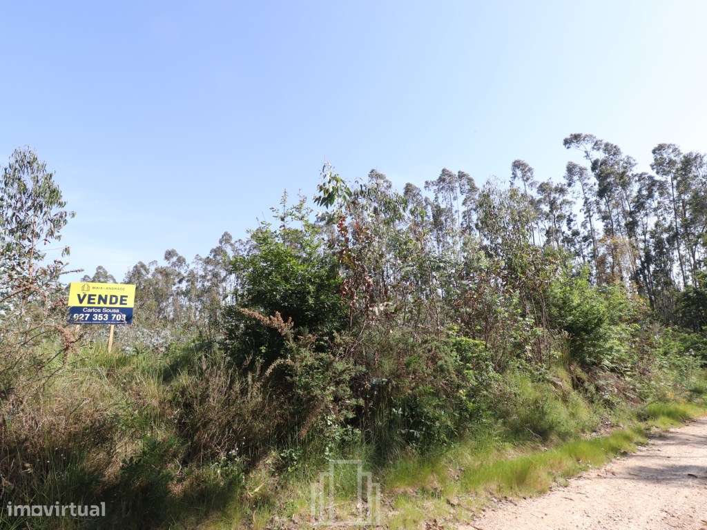 Terreno rústico - Avanca - Grande imagem: 2/3