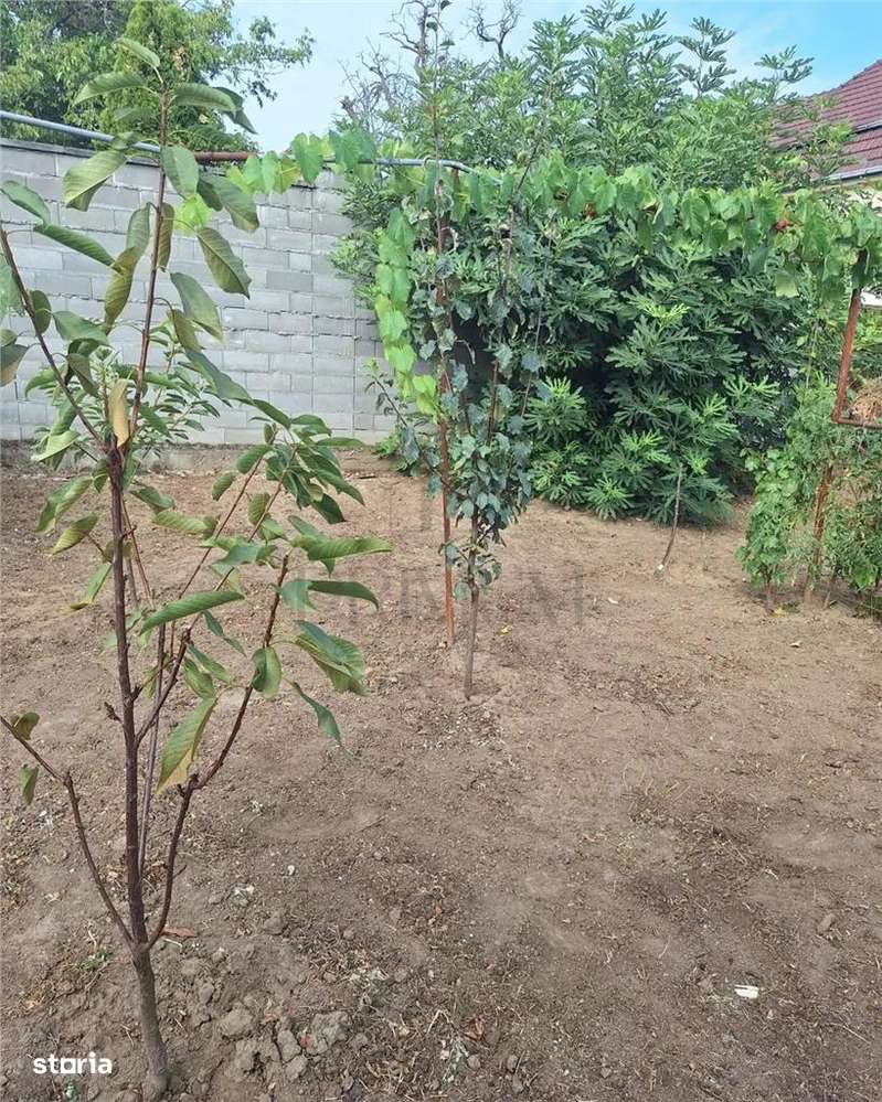 Apartament 1 camera-Centrala-Elisabetin-Curte - Imagine principală: 5/6