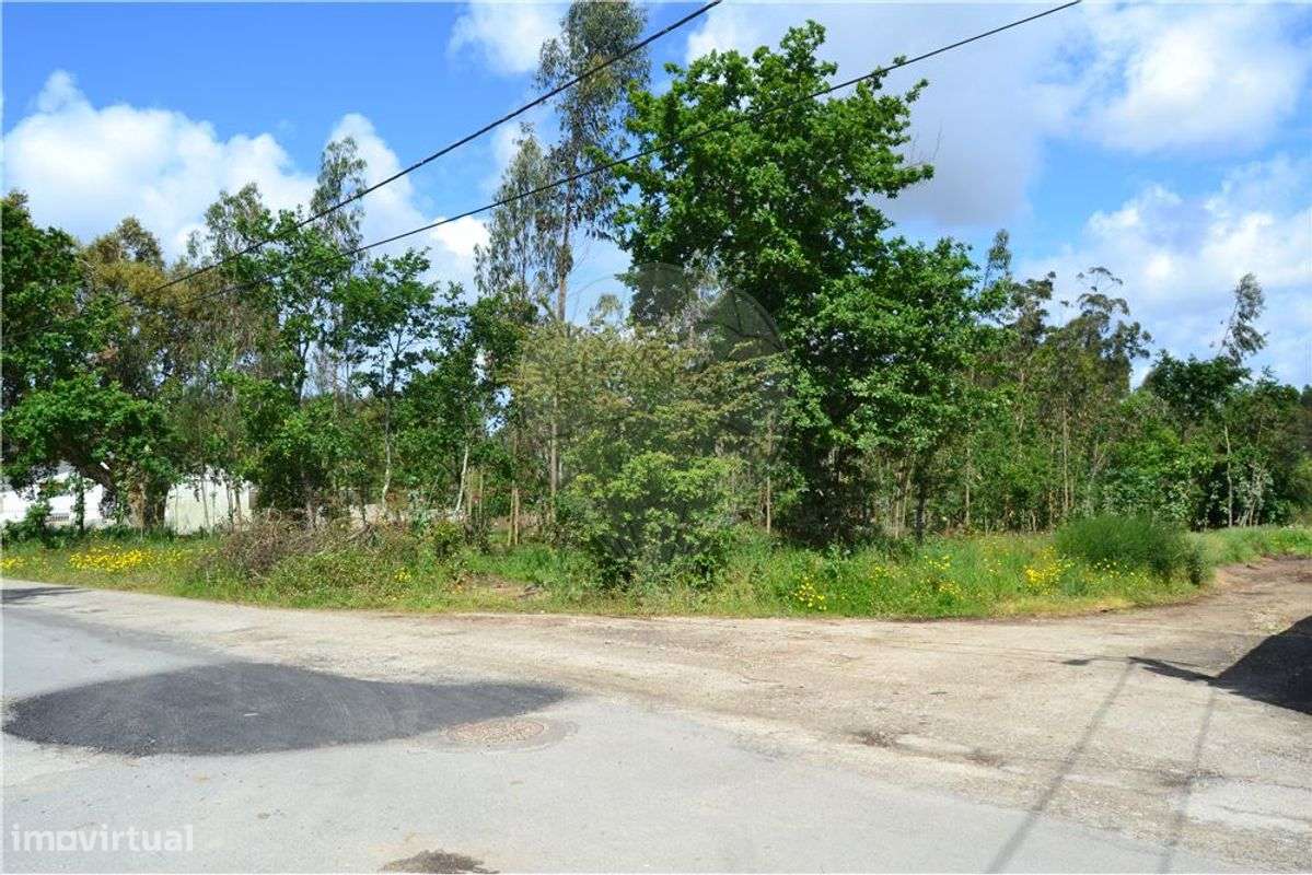 Terreno T0 para venda - Grande imagem: 4/6