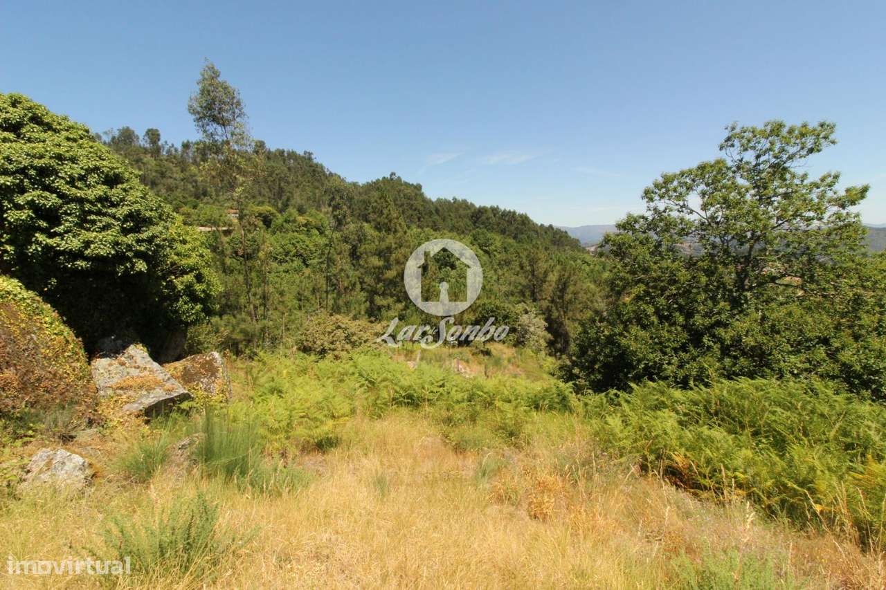 Terreno Caçarilhe Celorico de Basto - Grande imagem: 4/22