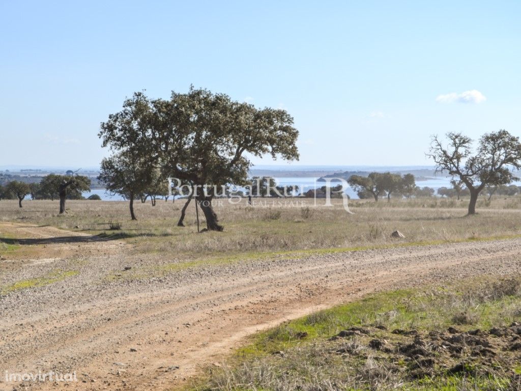 Herdade com 83 hectares