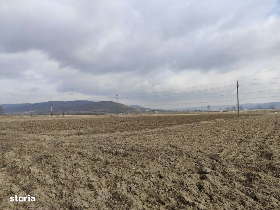 Teren Merisani! - Imagine principală: 1/2