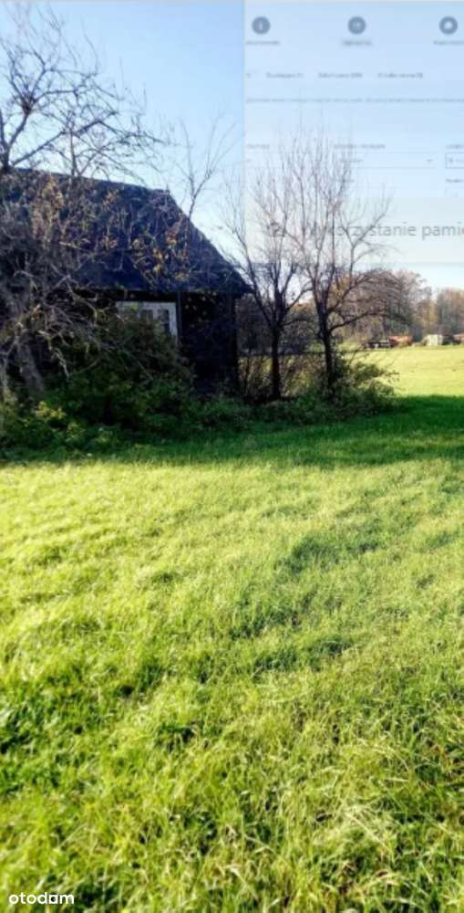 Siedlisko 1,4870 ha; Sasiny, gm. Zambrów - Pełny obrazek: 2/3