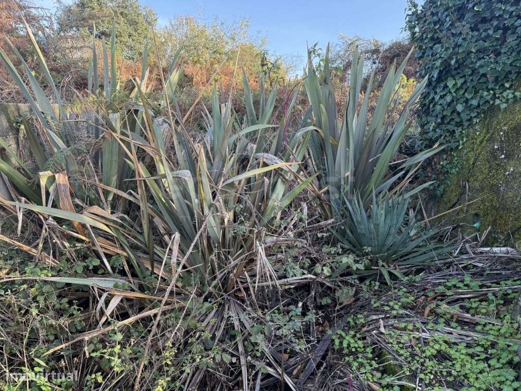 Terreno urbanizável com 1200m2, localizado no concelho de Sátão - Grande imagem: 5/18