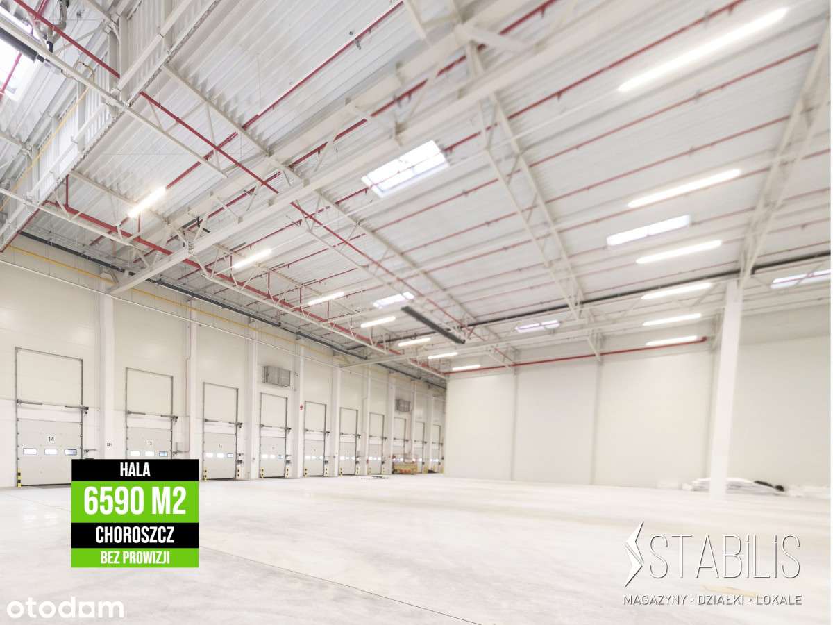 Hala 6590 m2 / Choroszcz / Wysokie Składowanie - Pełny obrazek: 5/5