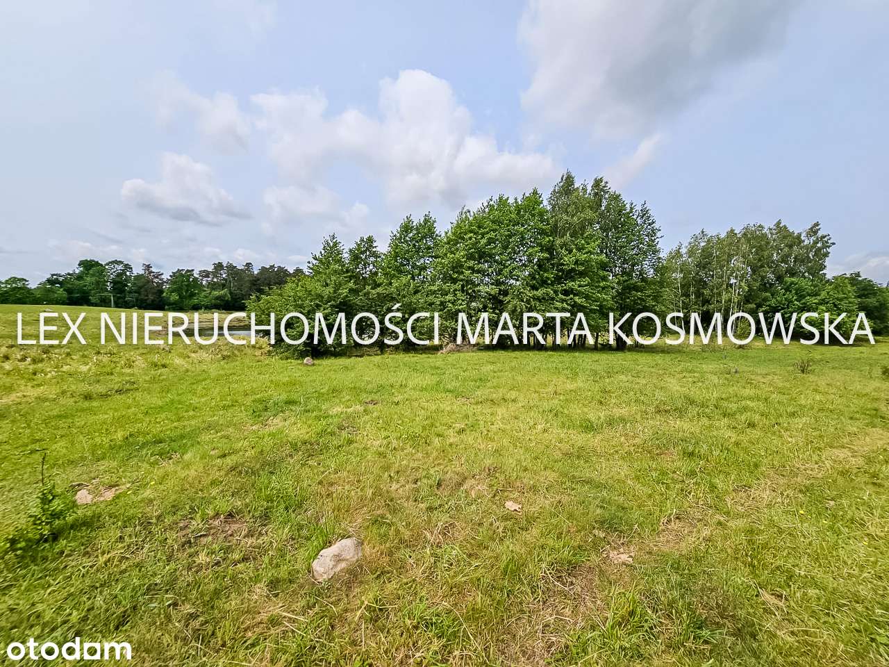 Wejdyki, pow.9211 m z możliwości zabudowy dudynkami mieszkalnymi - Pełny obrazek: 5/11