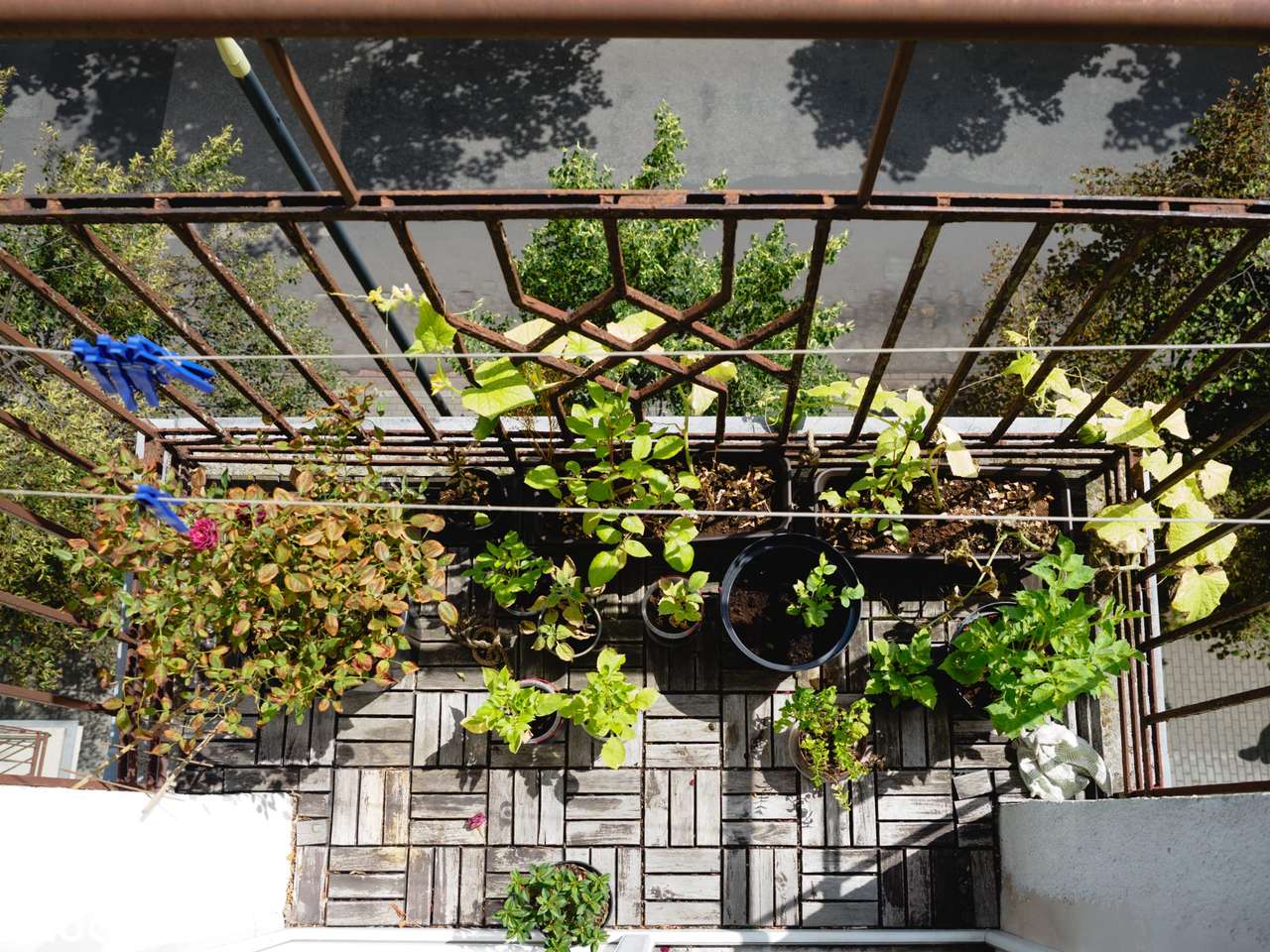 Mieszkanie na Mokotowie - Pełny obrazek: 5/9