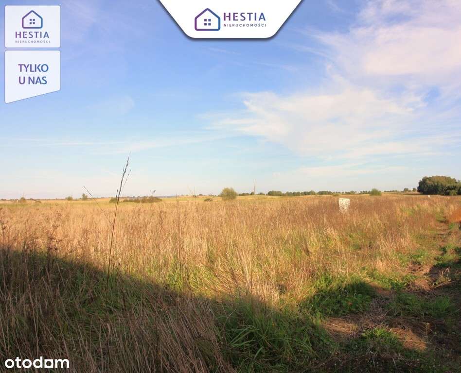 Działki Budowlane 5km od centrum Choszczna - Pełny obrazek: 4/5