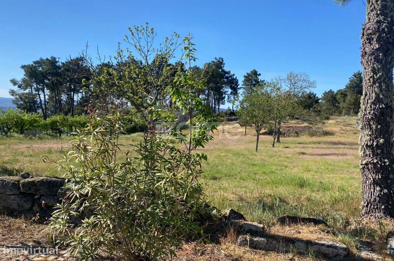 Propriedade Única em Vila Chã – Terreno Misto com Elevado Potencial...-7