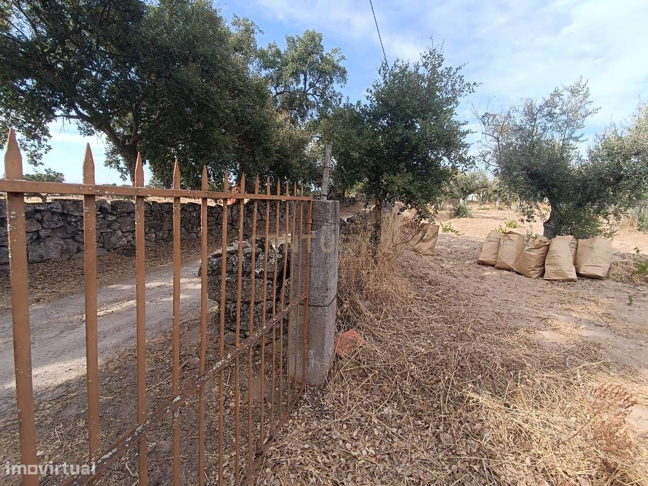 Fabuloso Terreno, Lousa, Castelo Branco - Grande imagem: 2/29