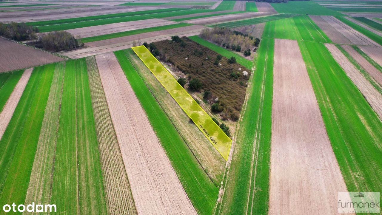 Działki rolne i leśne o powierzchni 1,13 ha