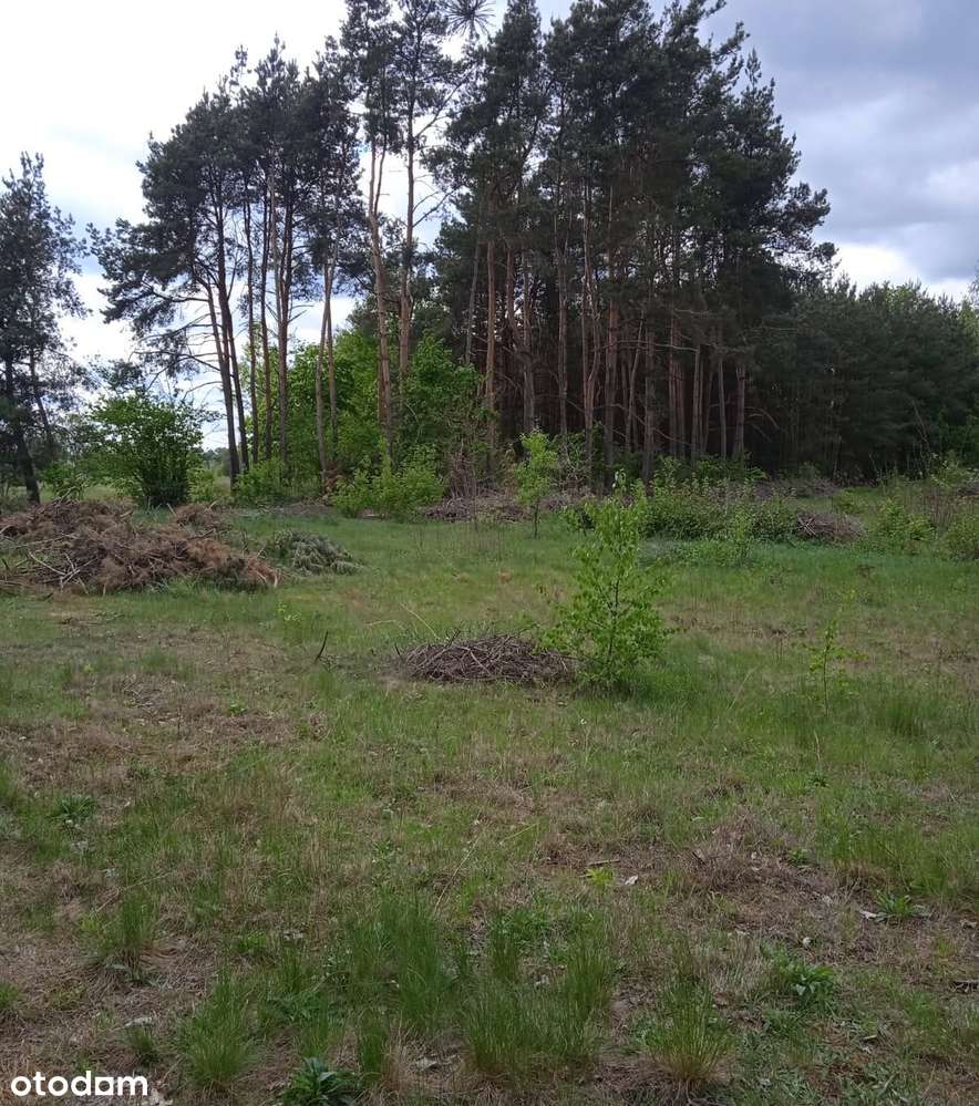 Działka budowlano-rolna na sprzedaż – Tłuszcz - Pełny obrazek: 5/7