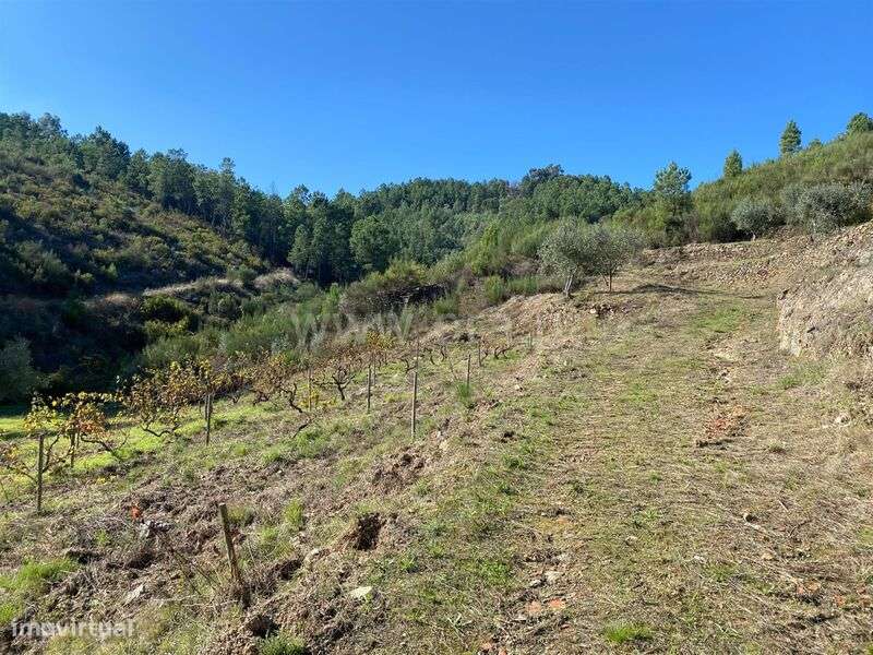 Quintinha / Fundão, Enxabarda - Grande imagem: 3/12