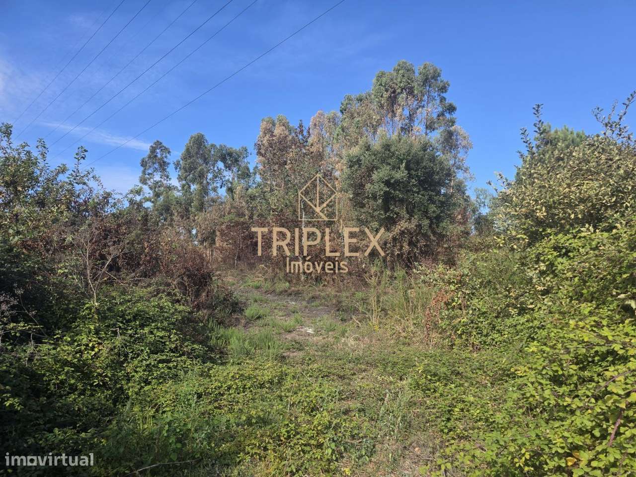 Terreno com viabilidade de construção-9