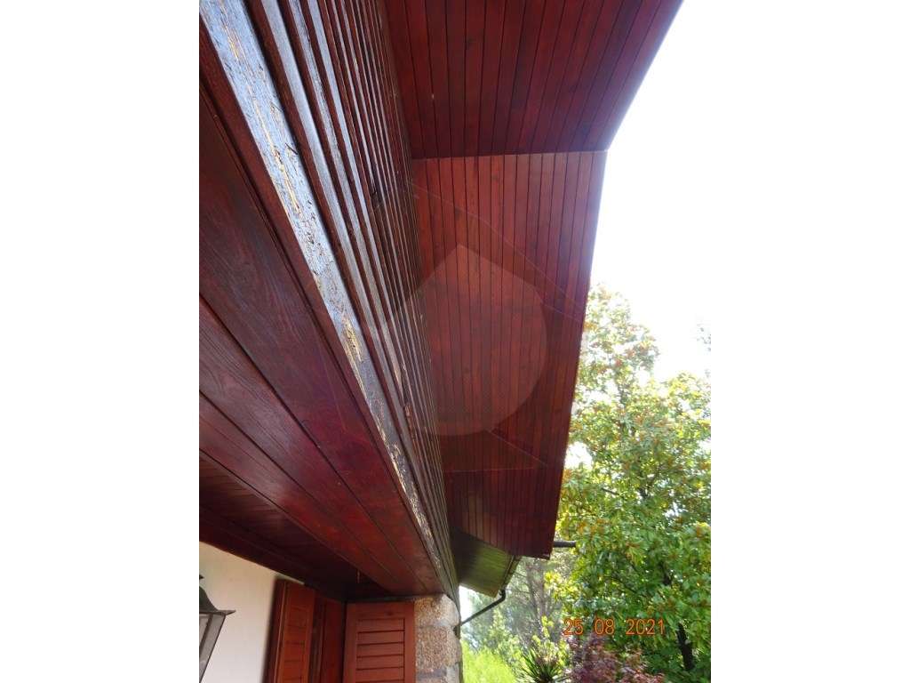 Quintinha - Moreira de Cónegos, Guimarães-5