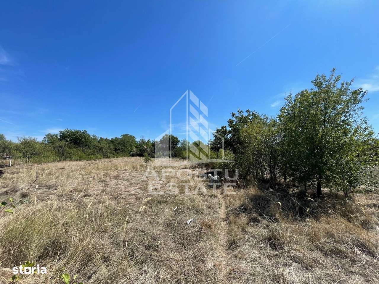 Casa cu teren 3407 mp, la asfalt, Seceani, 26 km de Timisoara. - Imagine principală: 5/7